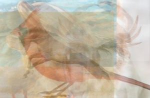The Animal You See First Reveals Your Personality Traits