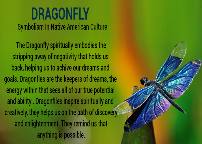 dragonfly-meaning